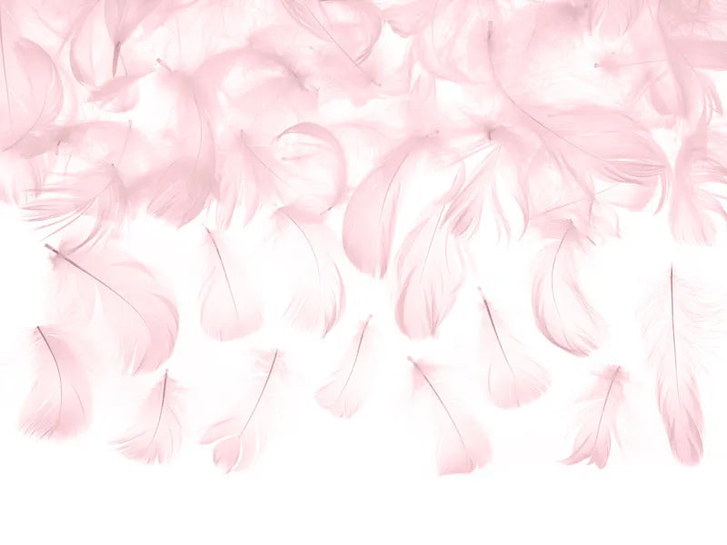 Decorative feathers, light pink, 3g Partydeco