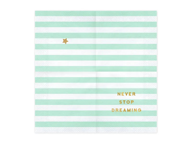 Paper napkins Never stop dreaming, mint, 33x33 cm, 20 pcs Partydeco