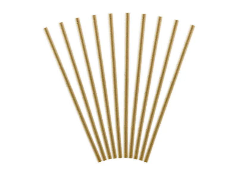 Paper straws, kraft, 19.5cm, 10 pcs Partydeco
