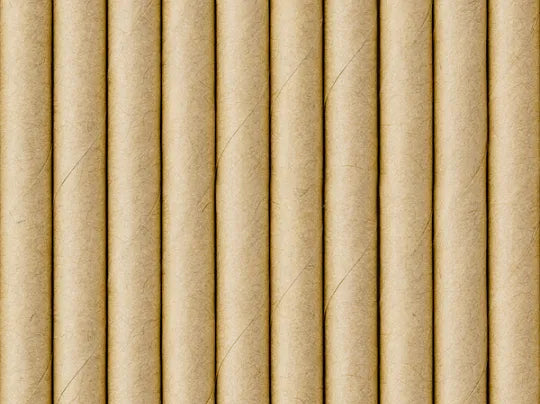 Paper straws, kraft, 19.5cm, 10 pcs Partydeco